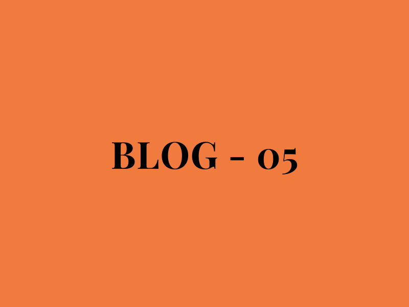 Blog Number 05